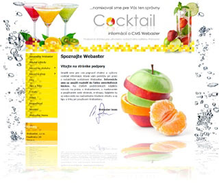 Web a e-shop od CMS Webaster - Stránka podpory